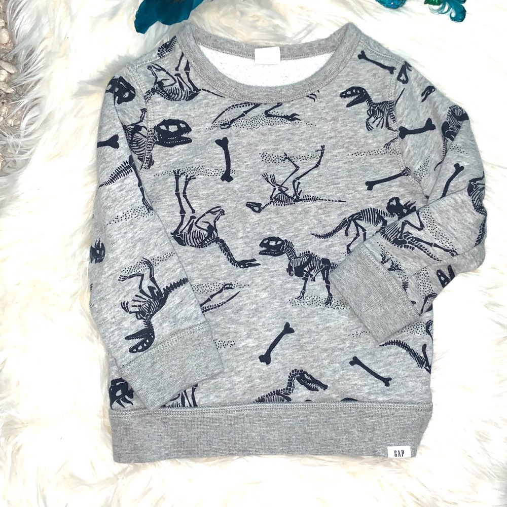 Dinosaur 3T Gap Sweater